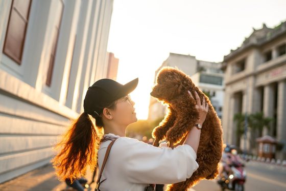 Avoiding Common Mistakes When Traveling with Your Dog