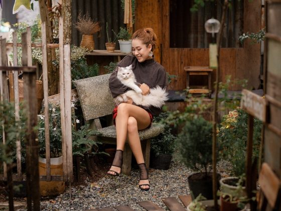 Making Traveling with Your Dog a Breeze: The Importance of a Well-Stocked Travel Bag