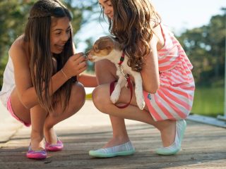 Puppy Health and Wellness: Tips for Keeping Your Furry Companion in Top Shape