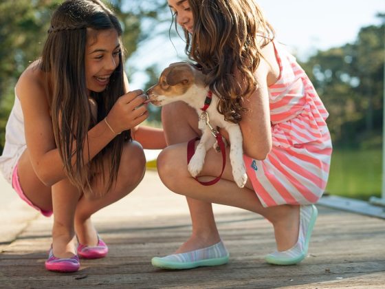 Puppy Health and Wellness: Tips for Keeping Your Furry Companion in Top Shape