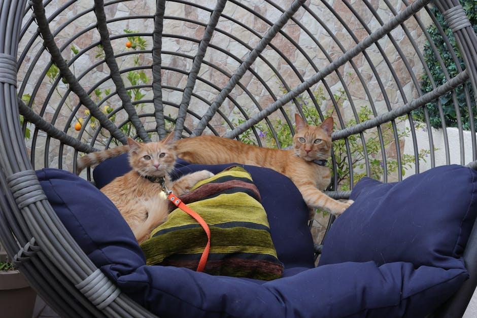 The Cutest Cat Collars That Make a Statement