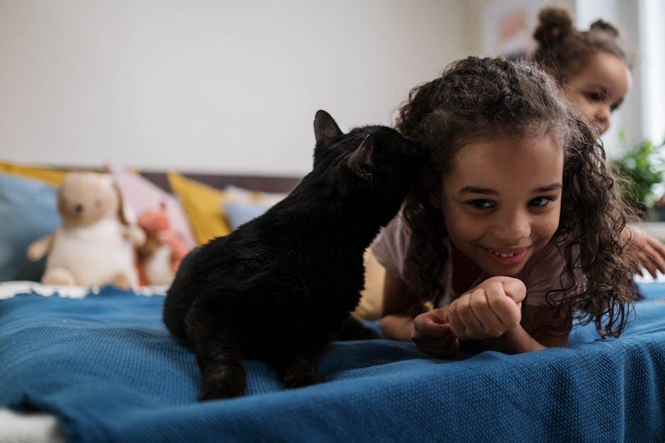 Playtime Essentials for​ Feline Fun
