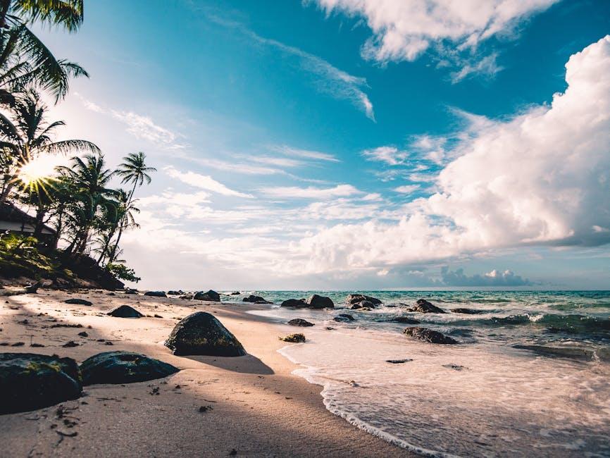 Pawsitively perfect Beaches for Sun-Loving Dogs